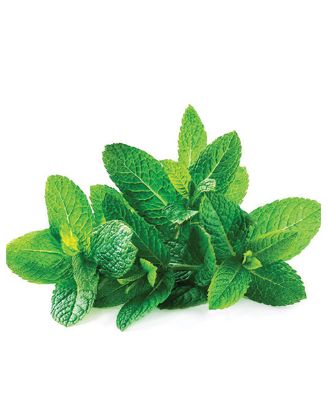 Picture of Herb, Mint 1 Lbs