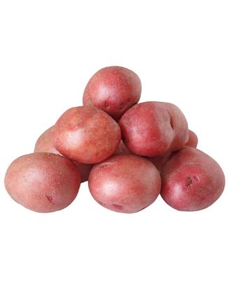 Picture of Potato Red 1 Lbs
