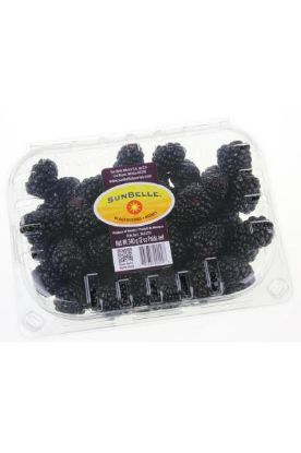 Picture of Sunbelle Fresh Blueberries 6 Oz