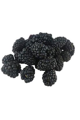 Picture of Sunbelle Blackberries 6 Oz