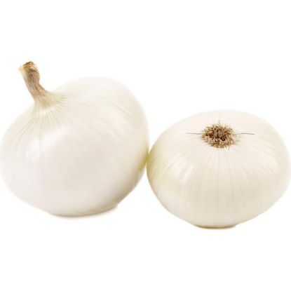 Picture of Onion White Jumbo 1 Lb