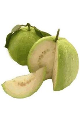 Picture of Guava Pink Local Grower 1 Pc