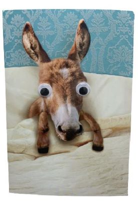 Picture of American Greetings Get Well Soon 1 Pc