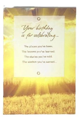 Picture of American Greetings Conventional Birthday 1 Pc