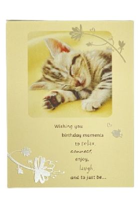 Picture of American Greetings Conventional Birthday 1 Pc
