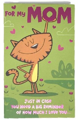 Picture of American Greetings Feminine Birthdaycar 1 Pc