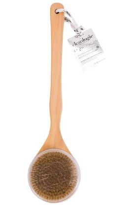 Picture of Cleanlogic Wooden Handle Bristle Bath Brush 1 Pc