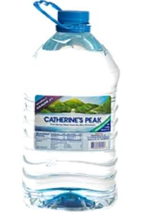 Picture of Catherine/'s Peak Naturally Alkaline Ph8 500 Ml