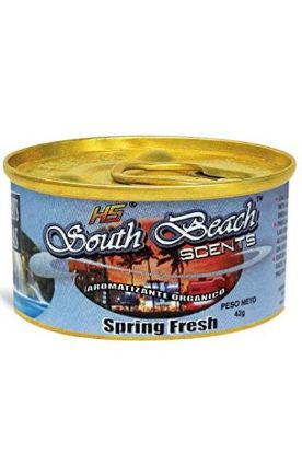 Picture of Hs South Beach Scents Spring Fresh Air Freshener 1 Ct