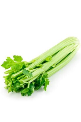 Picture of Celery Sleeved 1 Pc