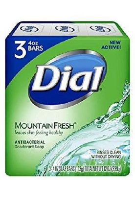 Picture of Dial 3 Bar Soap Mountain Fresh 12 Oz