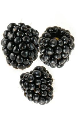 Picture of Fresh Farms Organic Blackberries 1 Pc