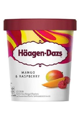 Picture of Haagen Dazs Sorbet Mango 473 Ml