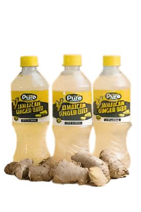 Picture of Jamaican Ginger Beer 16.9 Oz