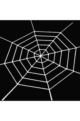 Picture of Spider Webbing White 1 Ct