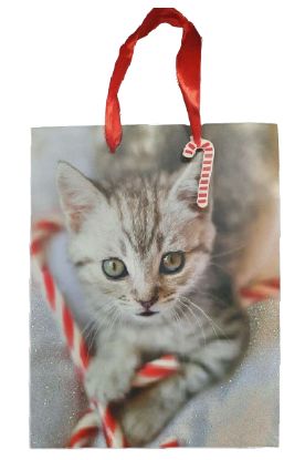 Picture of  Pet Gift Bag 20 Sqft