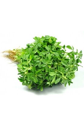 Picture of Methi Leaves 1 Ct