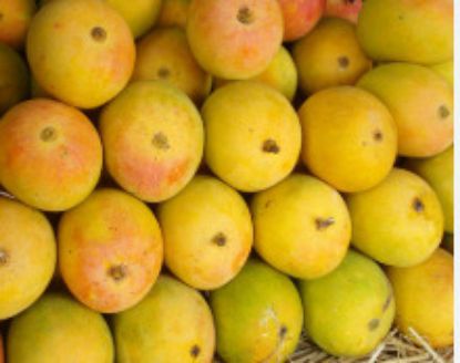 Picture of Alphonso Mango (India (Afush) 10 Lbs